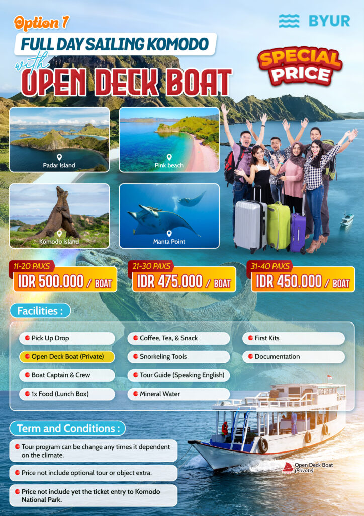 KOMODO ONE DAY TRIP PRIVATE LOCAL BOAT