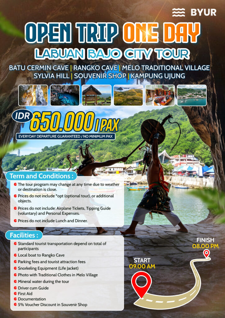ONE DAY TRIP CAVE CITY TOUR