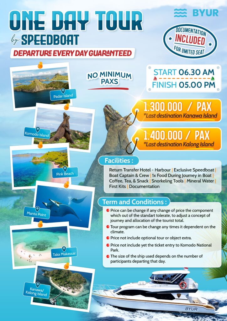 ONE DAY TRIP KOMODO BY SPEEDBOAT