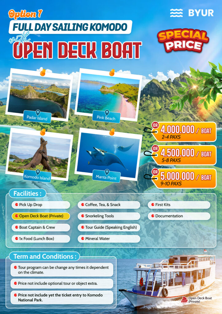 ONE DAY TRIP KOMODO PRIVATE LOCAL BOAT