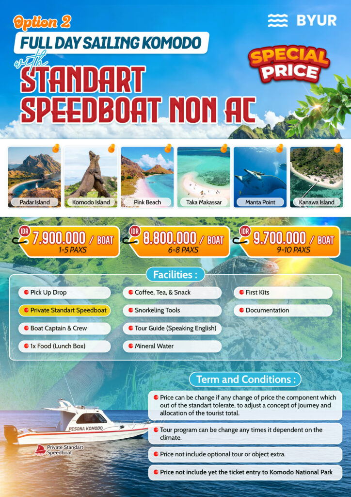 ONE DAY TRIP KOMODO PRIVATE SPEEDBOAT STANDARD