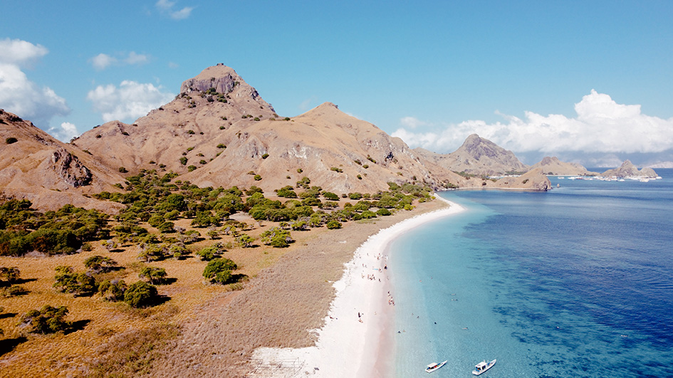 PINK BEACH trip tour komodo