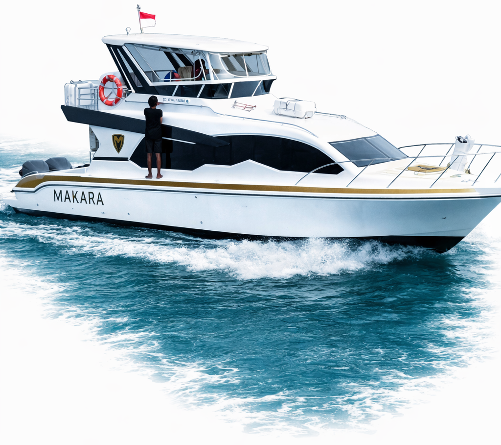 Speedboat Komodo Day Trip